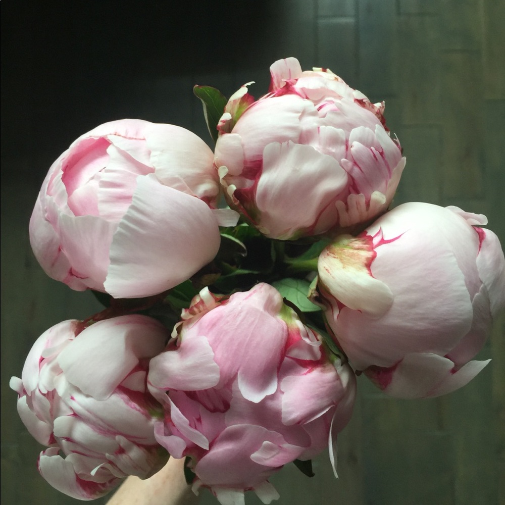 Meet your Posher, Kim